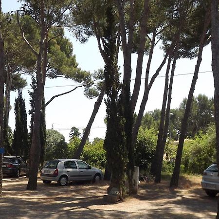 Rvapartaments Treumal Park Platja d'Aro Luaran gambar