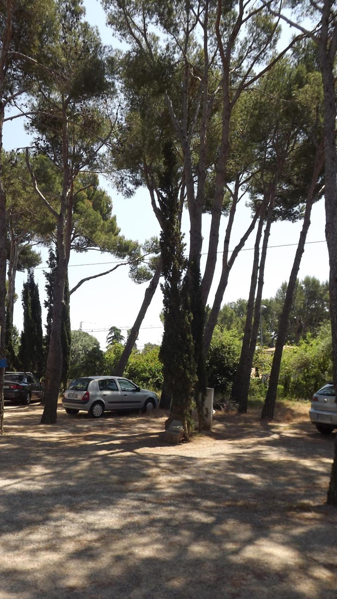 Rvapartaments Treumal Park Platja d'Aro Luaran gambar